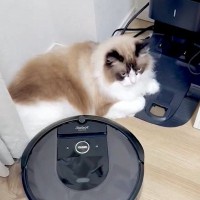 ロボット掃除機がホームに戻ろうとしたら…猫がとった『まさかの行動』に爆笑の声続出「帰してあげてｗ」「アクシデントｗ」と22万表示