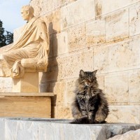 地域でもSNSでも大人気の猫ちゃんが、「古代ローマ風の銅像」のモデルになる！　英国