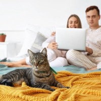 猫は女性よりも、男性の飼い主に向かって「より多く鳴く」　トルコの学者が研究結果を発表