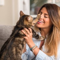 猫が飼い主の『髪の毛を舐める』理由4つ　考えられる心理や対処法もご紹介