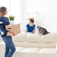 猫と暮らせる『ペット可物件』で起こりうるトラブル5つ　注意すべきことや対策方法もご紹介