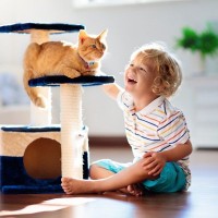 猫がなりやすい『膀胱炎』とは？発症する原因や主な症状、予防法を解説