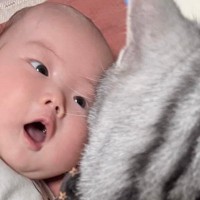 赤ちゃんを隣で見守るネコ→『赤ちゃん視点』から見てみた結果…衝撃的な光景に爆笑「ちょっと怖いｗ」「トラウマになりそうｗ」と２万いいね