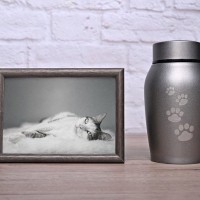 猫が『亡くなった後』にやるべきこと4つ　大切な愛猫を見送るために必要な準備