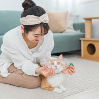 猫の『介護』が必要になるタイミング4つ　体に起こりうる変化や必要になるケアとは