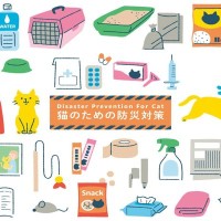 災害時に役立つ『猫のローリングストック』とは？もしもの事態に備えておきたいモノまで