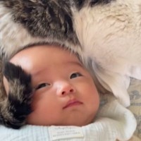 赤ちゃんのことを見たら、『頭の上』で元野良猫が…あまりにも尊い『優しい行動』が260万再生「涙が出てくる」「語彙力を失った」と大反響