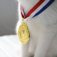 「金メダルは愛猫に捧ぐ」　米国フィギュアスケート選手からの贈りもの