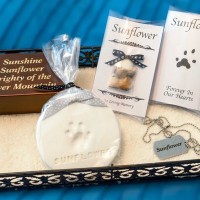 猫が亡くなったときに『形見』を残す方法5つ　愛猫の生きた証となる物とは