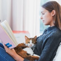 猫が『膝の上に乗りたがる』ときの気持ち4つ　人を選んでいるの？乗ってもらうためのコツも