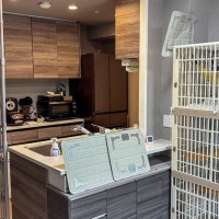 『猫が入れないキッチンにしたい』→完成した結果…劇的すぎるビフォーアフターが230万表示「料理屋ができたみたいｗ」「猫の様子に笑った」