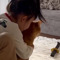 女の子に『ぎゅっ』と抱きしめられた猫→次の瞬間…幸せいっぱいな光景に癒される人続出「疲れが吹き飛ぶ尊さ」「とっても素敵」と５万再生