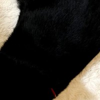 白いラグの上で『くつろいでいた黒猫』を見たら…まさかの『形』に爆笑の声続出「新メニューの匂わせみたいｗ」「えぇっすごいｗ」と１万いいね