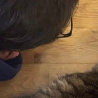 猫を飼うことに『大反対していた夫』が猫にハマった結果…現在の『まさかすぎる行動』に「変態の域までいったね」「仕上がってて草」と爆笑の声