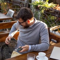 ローストディナーをもらうため「野良猫のふり」をしておねだりを続けた猫　その「二重生活」がついに暴露される　英国