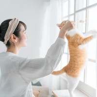 猫が大満足する『上手な遊ばせ方』7選　本能を刺激するテクニックや工夫をご紹介