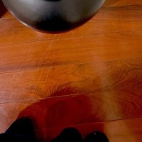 母から『何時間探しても猫がいない』と連絡がきて…数分後→『予想外の場所』で発見された様子に「ほんとに忍者」「かくれんぼ得意だよね」