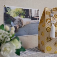 亡くなった愛猫の『遺骨の供養方法』5つ　自宅で保管する場合の注意点も解説