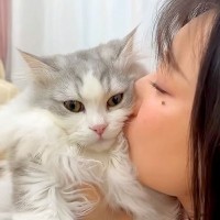 フワフワの子猫を『猫吸い』するママ→つい夢中になってしまうと…切なすぎる『リアクション』が話題「虚無顔ｗｗｗ」「発作が出ちゃってる」