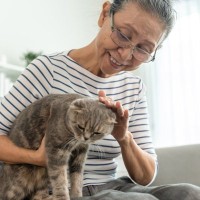 猫と人間に共通する『老化のサイン』5つ　見た目や仕草にあらわれる変化とは？