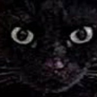 出先から『ペットカメラ』を確認してみたら…映っていた黒猫の『まさかすぎる形』に１万いいね「だいぶ箱ｗ」「険しい顔がいいねｗ」と爆笑