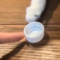 インフルでダウン中→猫と『ペットボトルのキャップ』で遊んでみた結果…微笑ましすぎる光景に「混ざりたいｗ」「一生できるねｗ」と１万いいね