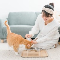 猫を迎える前に『備えておくべき物』5つ　必要になる理由や選び方のポイント