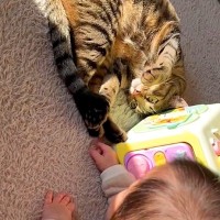 ネコの『肉球』が気になる様子の赤ちゃん→夢中で触っていると…予想外な『100点満点の対応』に「お姉ちゃん優しいね」「仲良しさん」と反響