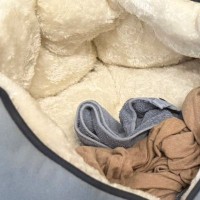 11歳の猫のために『極暖ベッド』を用意した結果→すぐ横を見ると……まさかの光景が112万表示「あるあるすぎるｗ」「たまらないね」