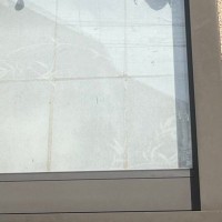 家の中から『視線』を感じて…見てみた結果→猫がしていた『まさかの行動』に２万いいね「ニャルソック専用の穴ｗ」「かなりビビる」