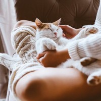 猫は飼い主を『どんな存在』だと認識しているの？　愛猫があなたに思っている4つの気持ちとは