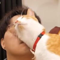 飼い主さんが大好きで『スリスリが止まらない猫』…想像を超える『激しさ』に「耐えてるのおもろすぎるｗ」「フィーバータイムｗ」と爆笑の声続出