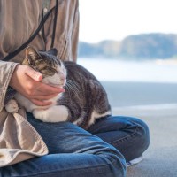 猫と『相性がいい人』に共通する特徴5選　好まれやすい理由や心がけたいポイントも解説