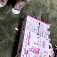 ズタボロになっていたティッシュ箱→現場に『犯ニャン』が戻ってきて…笑ってしまう光景に２万いいね「反省してないｗ」「かわいいｗ」