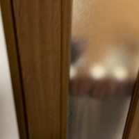 帰宅して部屋のドアを開けると、『2匹の猫』が…あまりにも尊い『お出迎えの光景』が99万再生「想像以上に可愛い」「本当にたまらない」