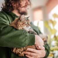 猫の老後に備えて知っておきたい『施設・サービス』4選　利用方法や費用、選ぶときのポイントまで