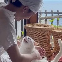 甘えん坊な元野良猫をなでなでしていると…思わず笑ってしまう『まさかの光景』が15万再生「ゾワゾワしたｗ」「幸せが詰まってる」