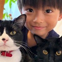 猫たちと並んだ『5歳の男の子』→見比べてみると…思わず二度見する『そっくりすぎる光景』が13万表示「本当にそっくりだ」「素敵な兄弟」