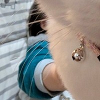 息子を撮影しようとカメラを向けたら、『猫』が…まさかの瞬間に２万いいね「プライバシーはオラが守るｗ」「可愛すぎる」とSNSで話題