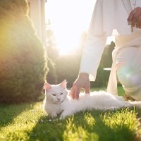 小さな町の人々を魅了した「教会猫」　大好きだった牧師とともに教区で眠る　米国