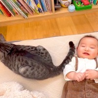 床に寝転ぶ赤ちゃん→元保護猫が『しっぽ』を使って…涙が出るほど尊い『家族愛にあふれた光景』に「距離感がベスト」「優しい」と称賛の声