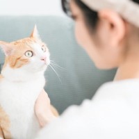保護猫を迎える前の『トライアル期間』とは？確認すべき5つのポイントや必要性を解説