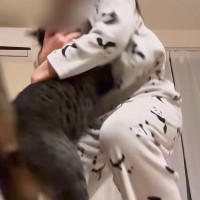 娘が『内緒で撮っていた映像』を見てみたら…猫との『尊いやり取り』が19万再生「本当の姉妹のよう」「ほっこりした」と癒される人が続出