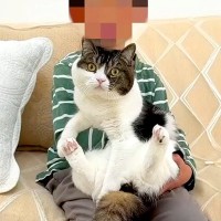 生まれて初めてネコとふれあう男の子→念願の『抱っこ』に挑戦してみると……『素敵な光景』に「良い経験」「胸を打たれた」と絶賛の声