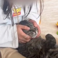 女の子の足の間にはさまる猫→優しく撫でられると…幸せあふれる『尊い光景』が40万再生「ほんとうに心が癒される」「疲れが溶けていく」