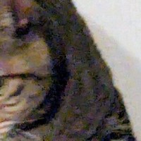 カーテンレールの上にいた猫の『口元』を見たら……「決定的瞬間ｗｗ」まさかの光景に５万いいね「嫌がらせすぎるｗ」「わるｗ」と爆笑の声