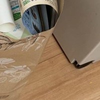 猫に『散らかさないでよー』と声をかけて…しばらく後に様子を見に行った結果→可愛すぎる光景に「いい感じになってるｗ」「いい子だねｗ」と反響