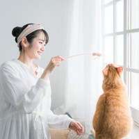 猫と一緒に『遊ぶときのルール』4つ　時間や回数の目安から上手な遊び方まで