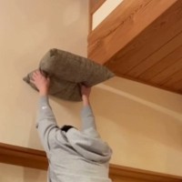 座布団を持って両手をあげていると、猫がやって来て…『まさかの瞬間』が53万再生「自らキャットタワーになるとは…」「通じ合っているｗ」