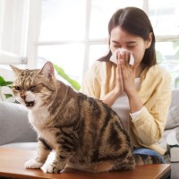 猫がする『逆くしゃみ』ってなに？　放っておいて大丈夫？注意が必要なケースも